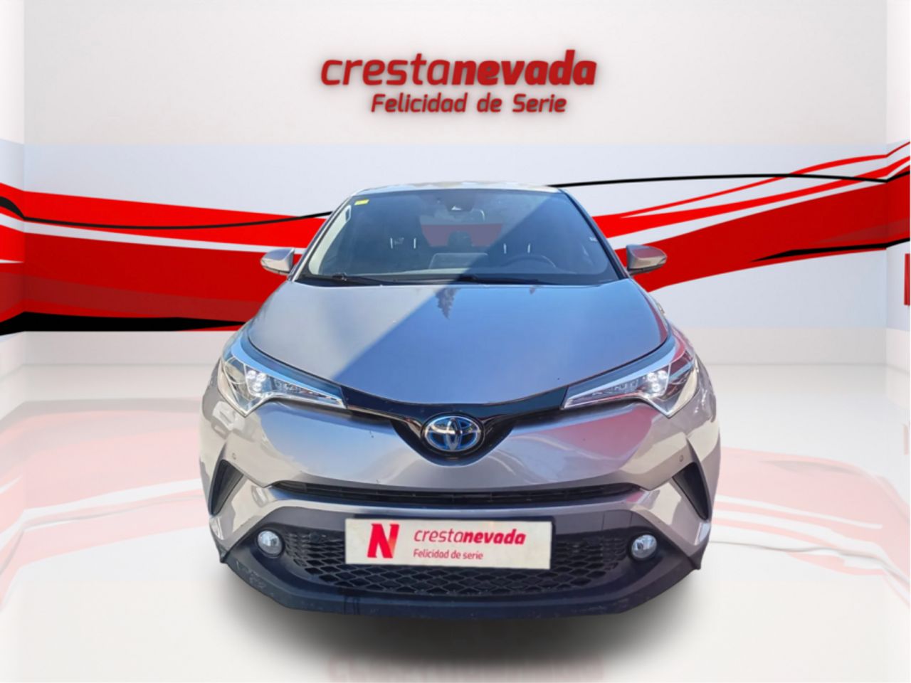 toyota c-hr 2019 / foto grande (2)