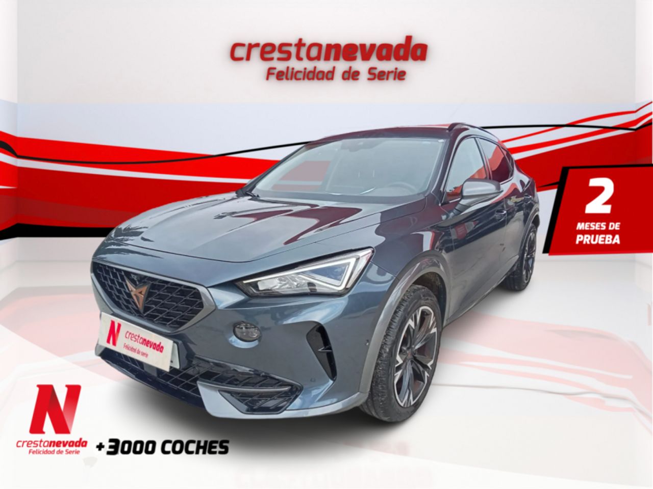 Foto cupra formentor 2023 /