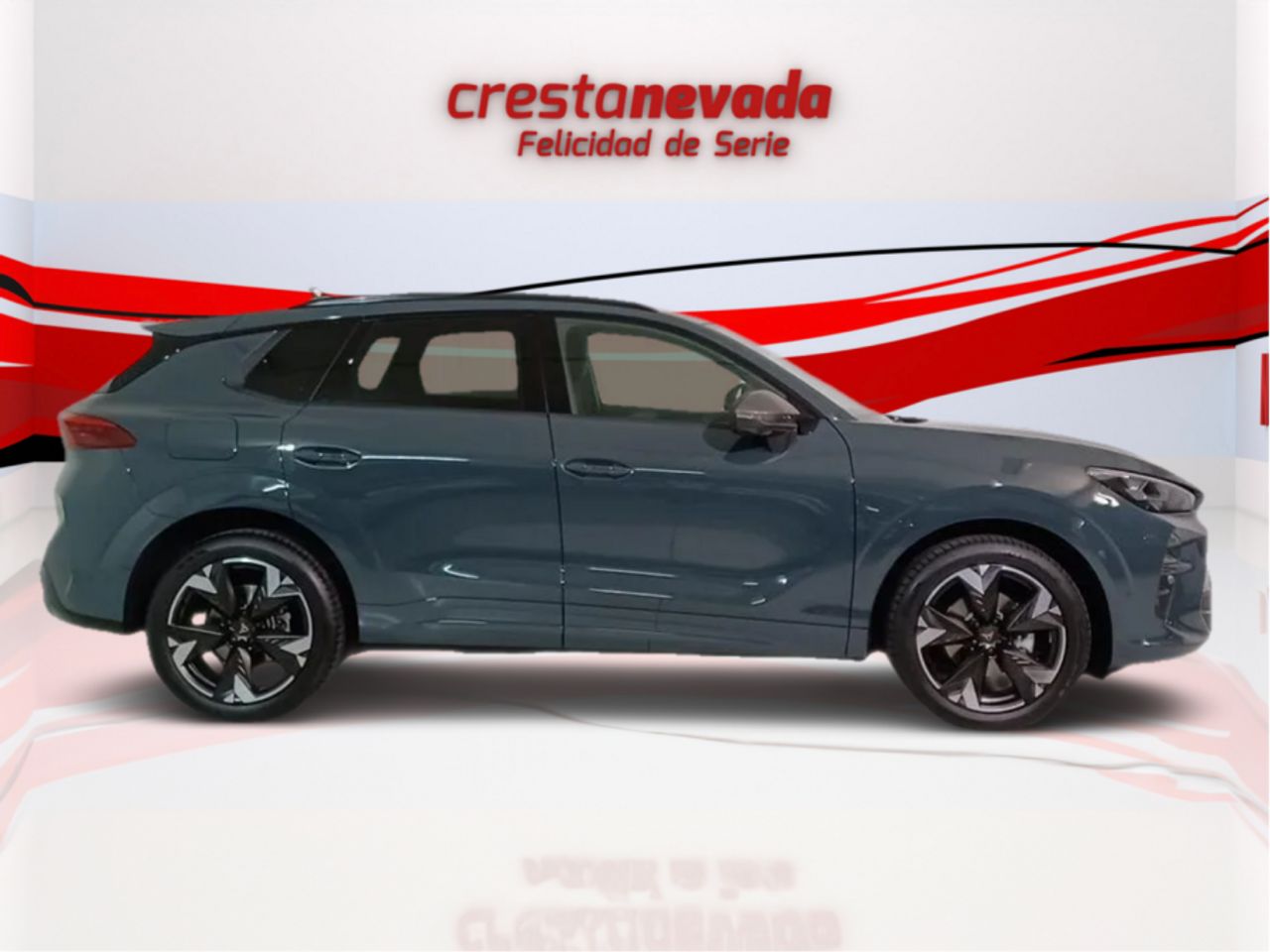 cupra terramar 2024 / foto grande (2)