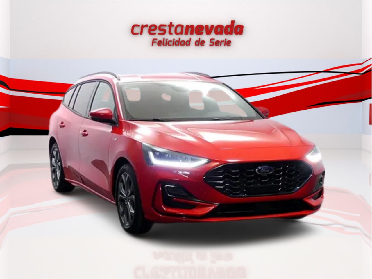 ford focus 2024 / foto grande (3)