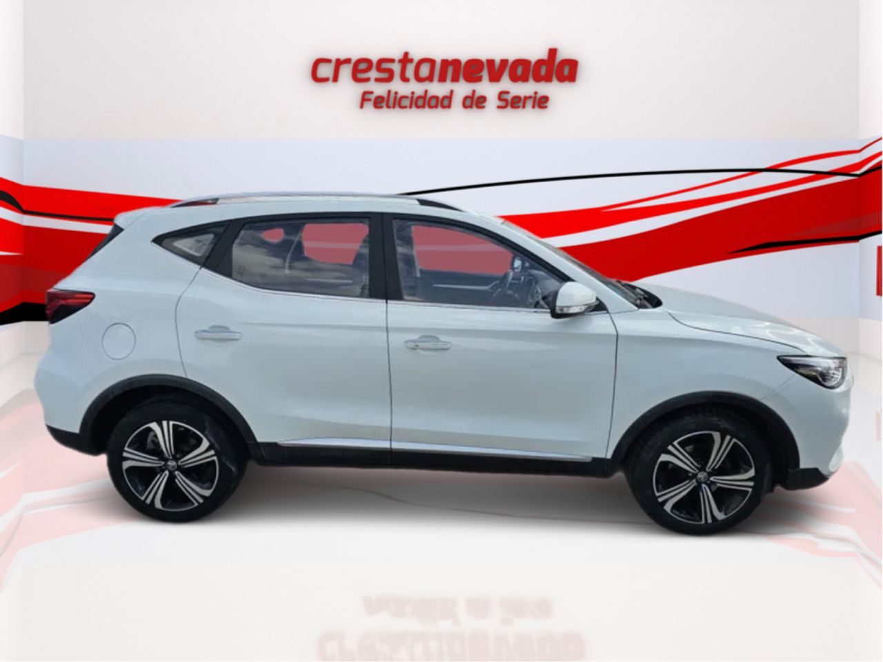 mg zs 2022 / foto grande (2)
