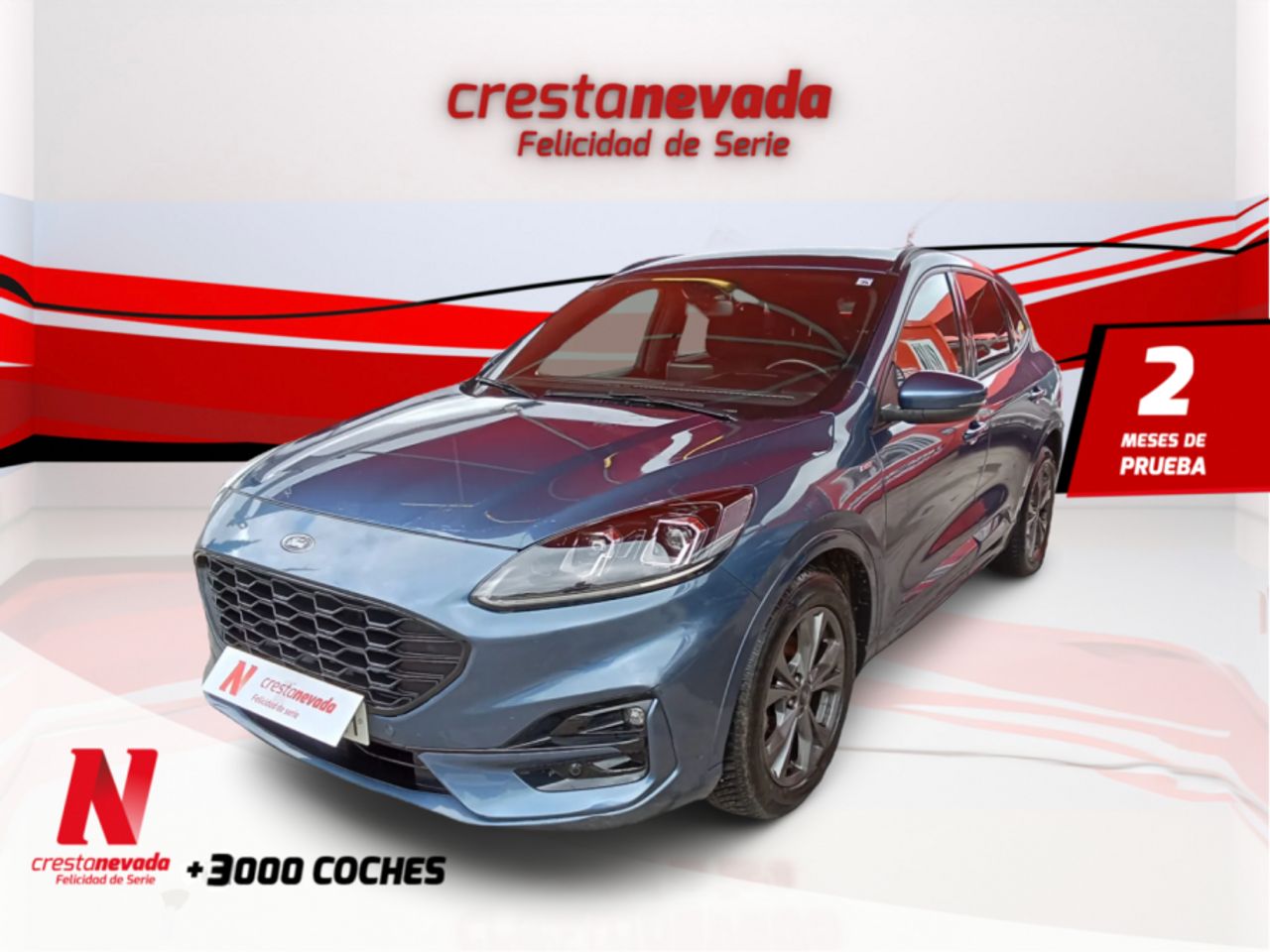 Foto ford kuga 2022 /