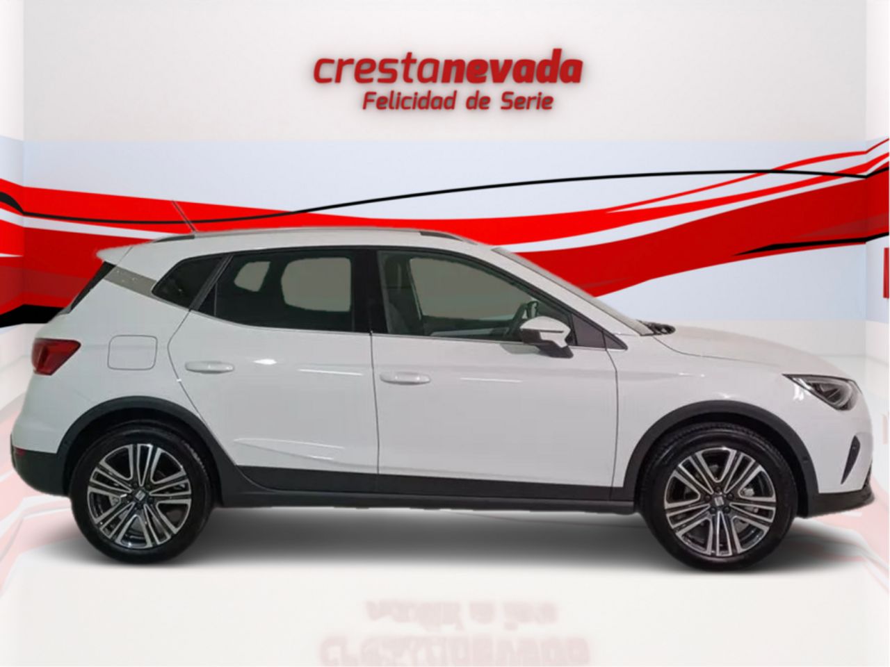 seat arona 2024 / foto grande (2)