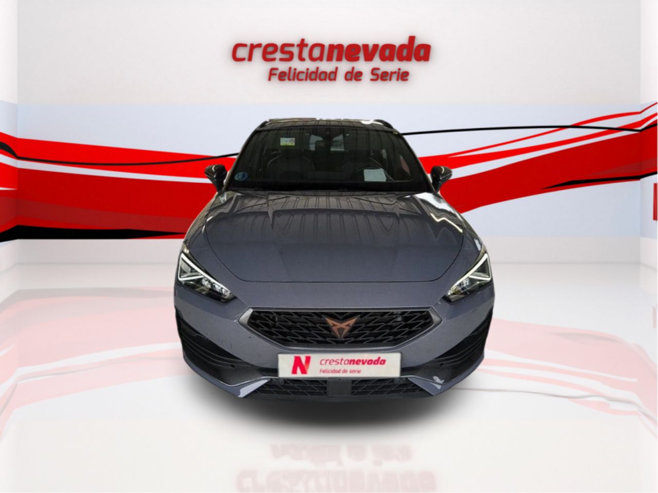 cupra león 2024 / foto grande (3)