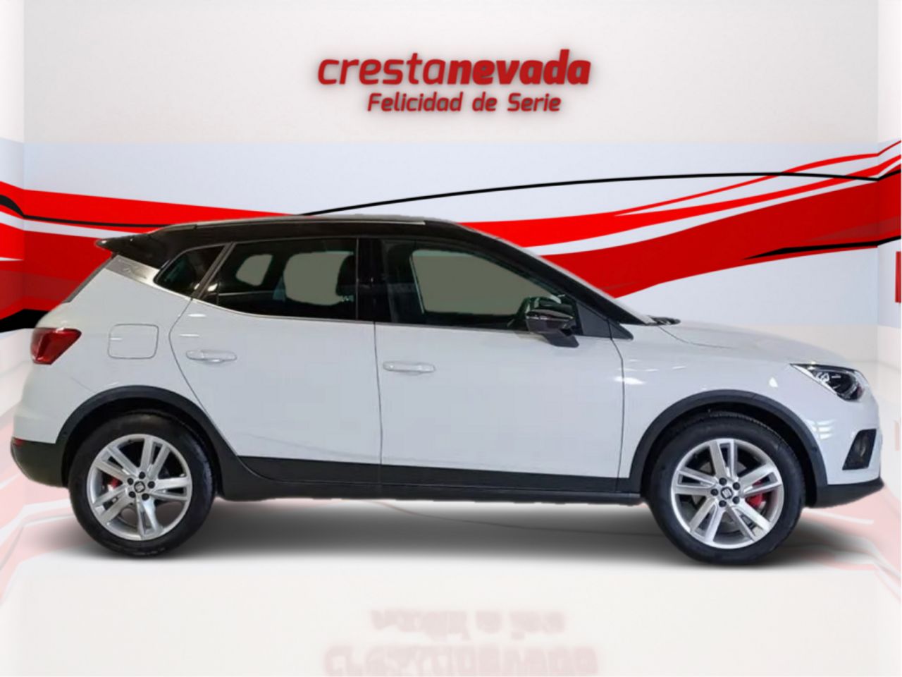 seat arona 2020 / foto grande (2)