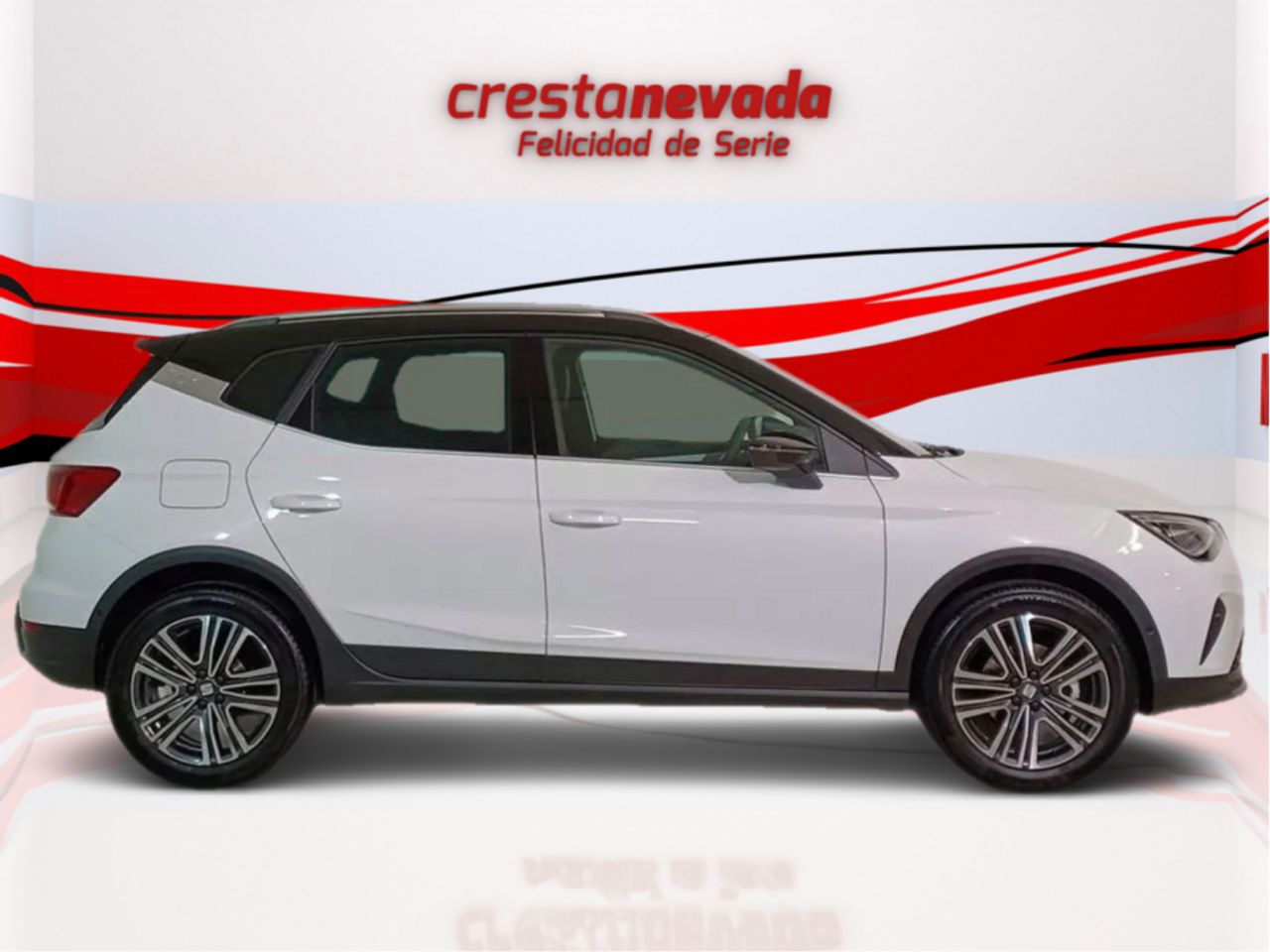 seat arona 2024 / foto grande (2)