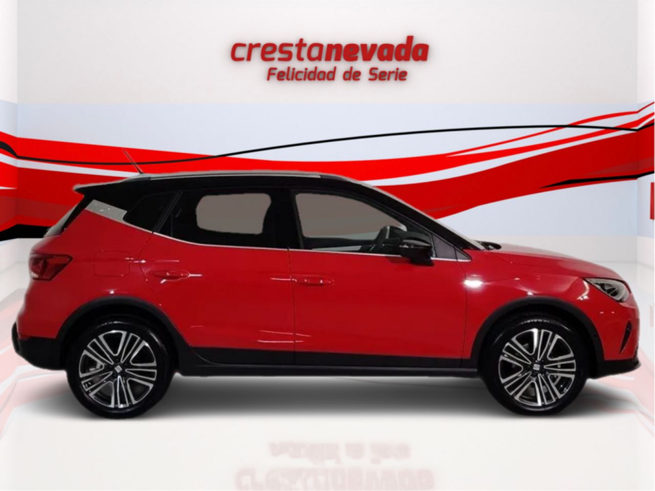 seat arona 2024 / foto grande (2)