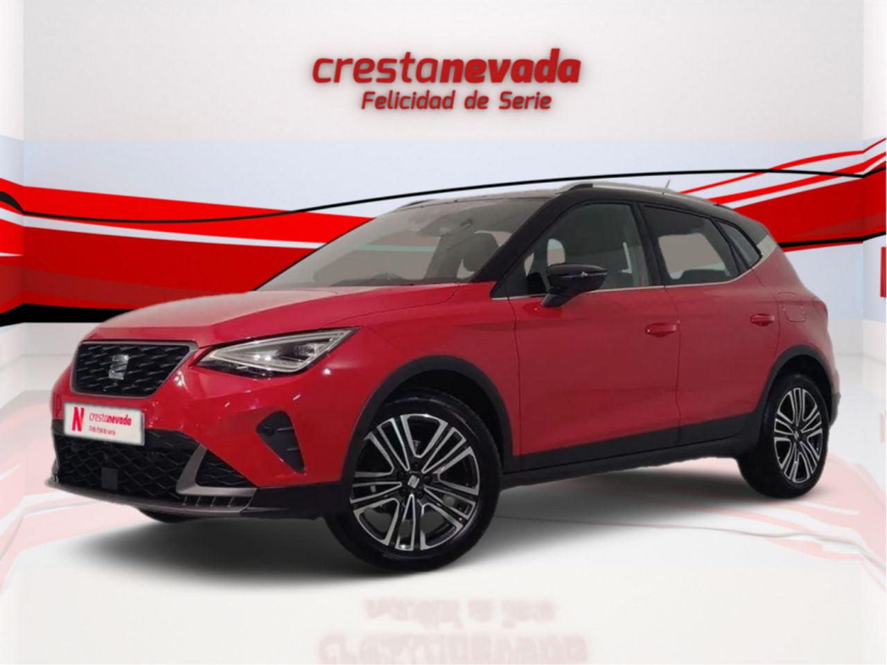 Foto seat arona 2024 /