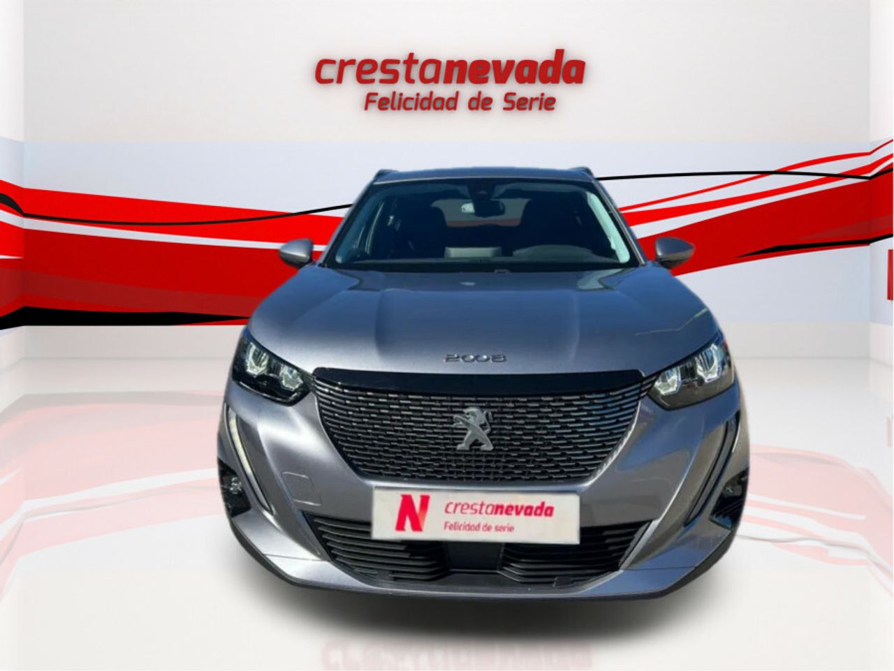 peugeot 2008 2021 / foto grande (2)