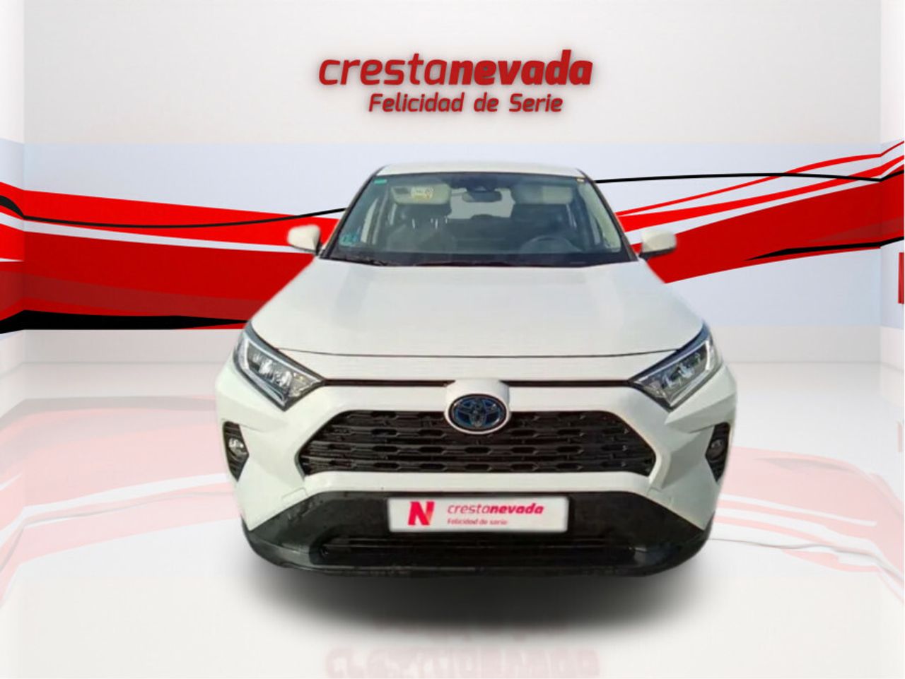 toyota rav4 2019 / foto grande (2)