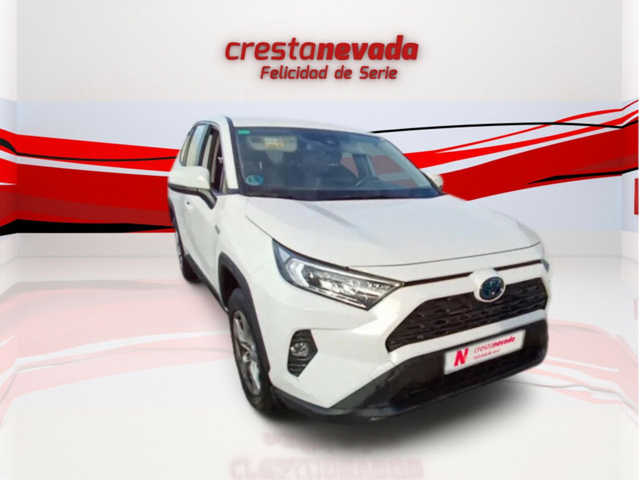 toyota rav4 2019 / foto grande (3)