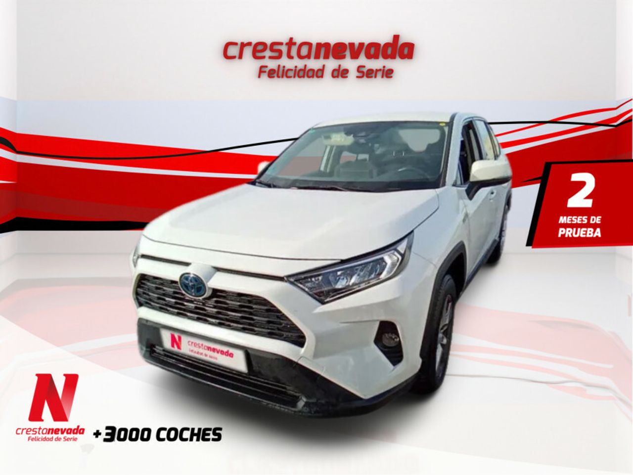 Foto toyota rav4 2019 /