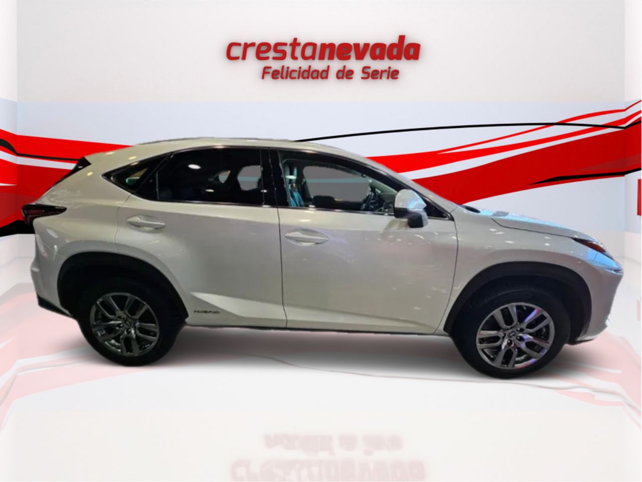 lexus nx 2018 / foto grande (3)