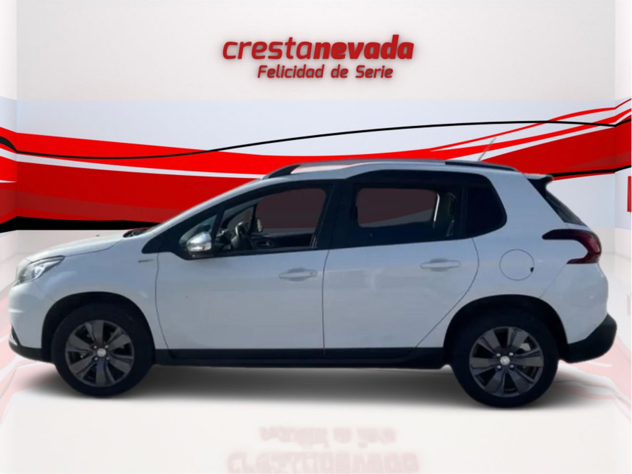 peugeot 2008 2019 / foto grande (3)