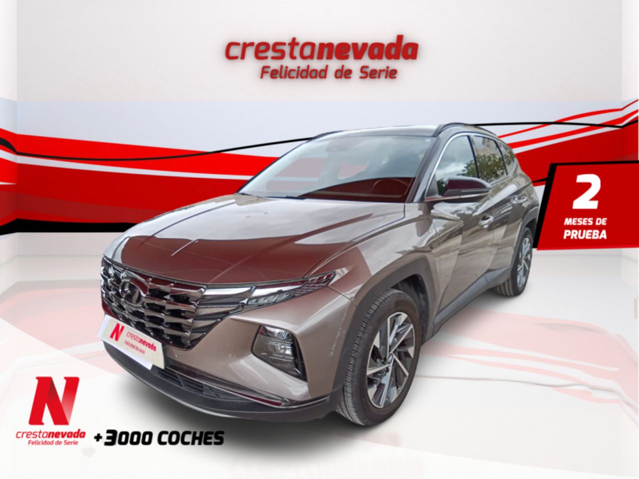 Foto hyundai tucson 2021 /