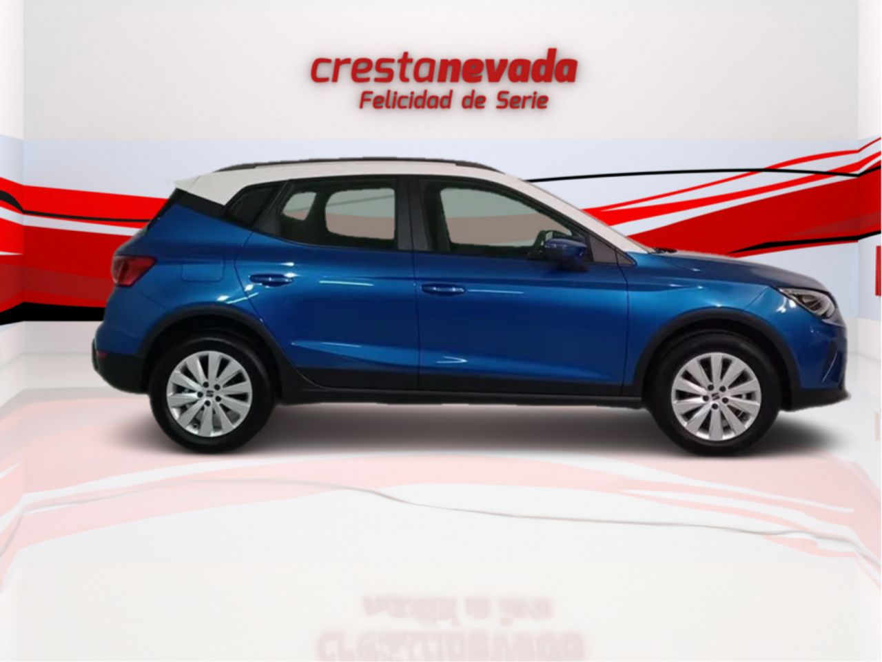 seat arona 2024 / foto grande (2)