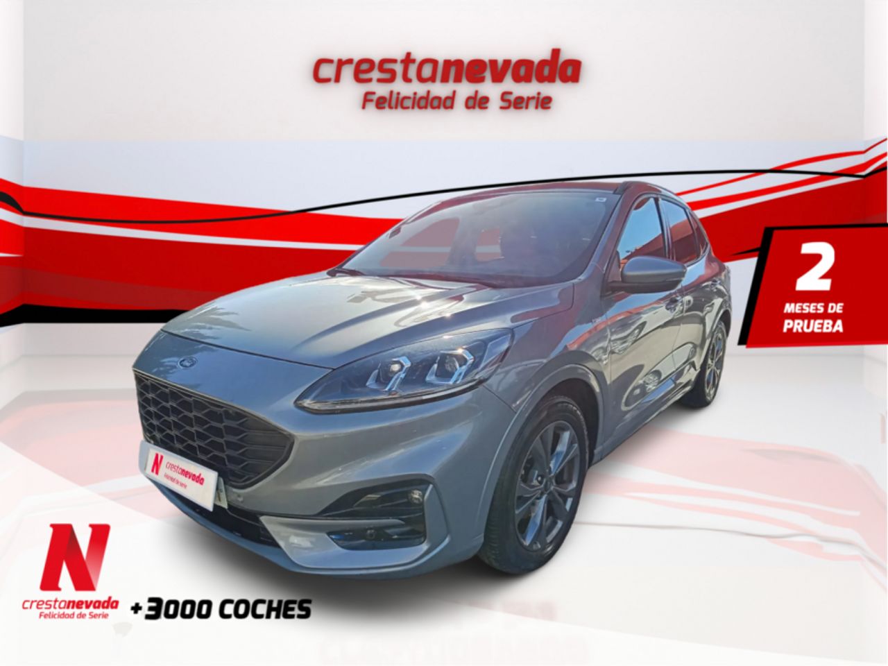Foto ford kuga 2022 /