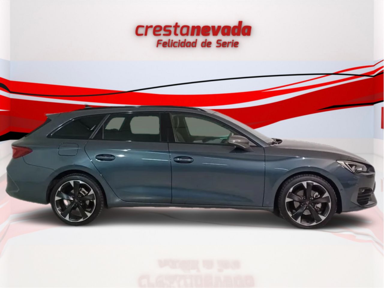 cupra león 2023 / foto grande (2)