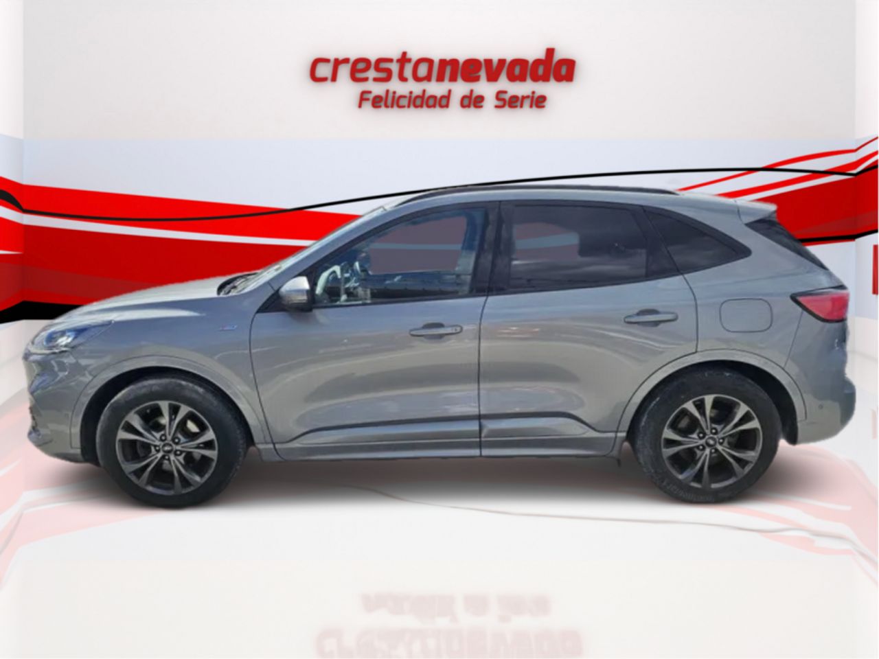 ford kuga 2022 / foto grande (3)