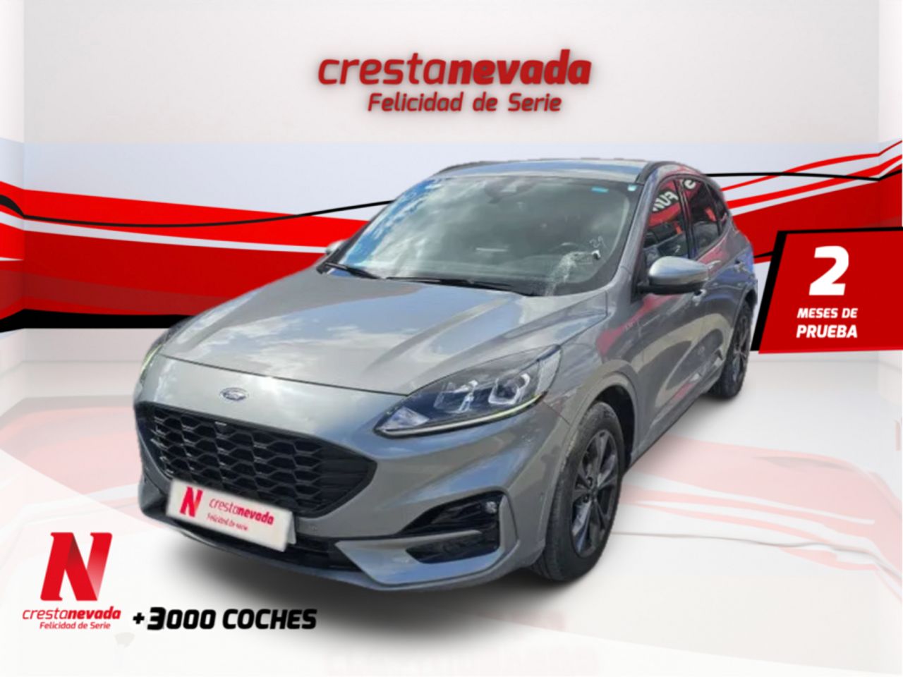 Foto ford kuga 2022 /