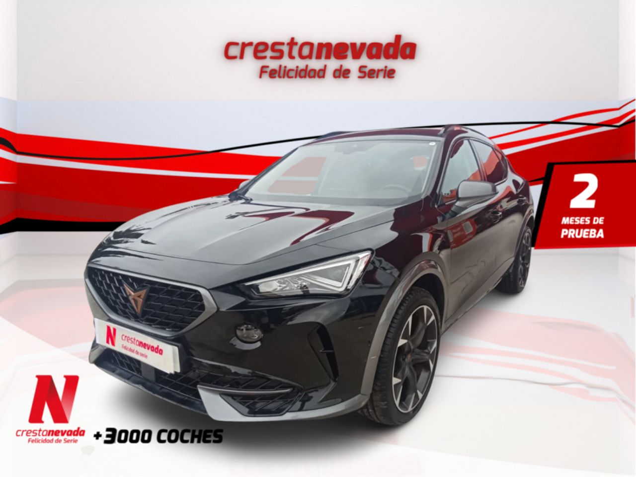 Foto cupra formentor 2022 /