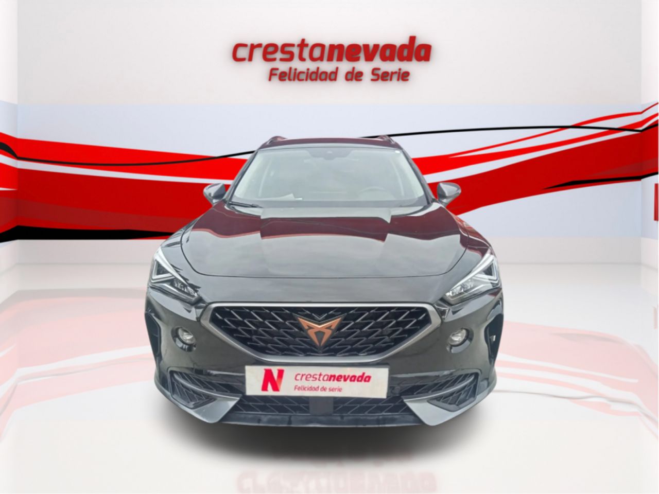 cupra formentor 2022 / foto grande (2)