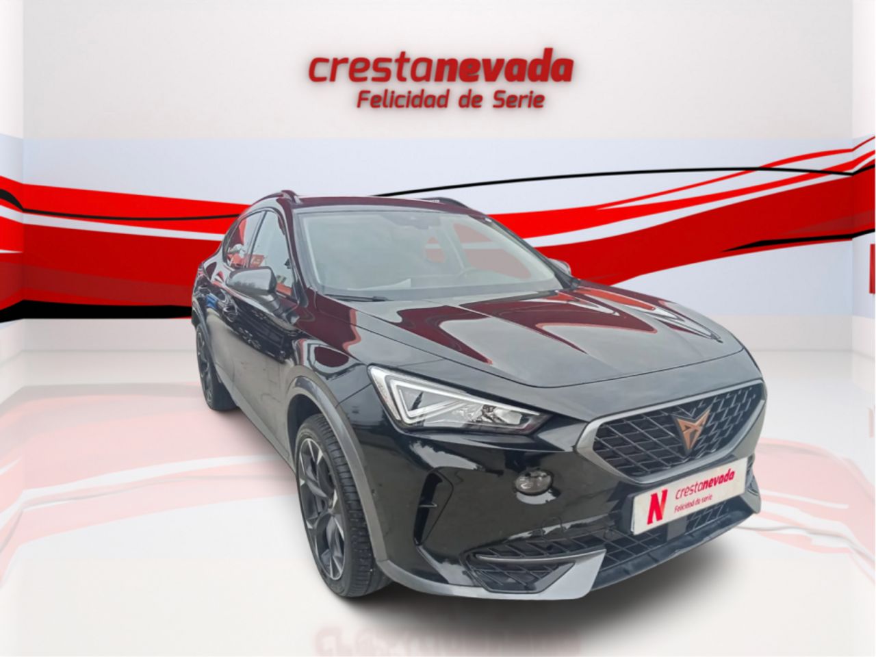 cupra formentor 2022 / foto grande (3)