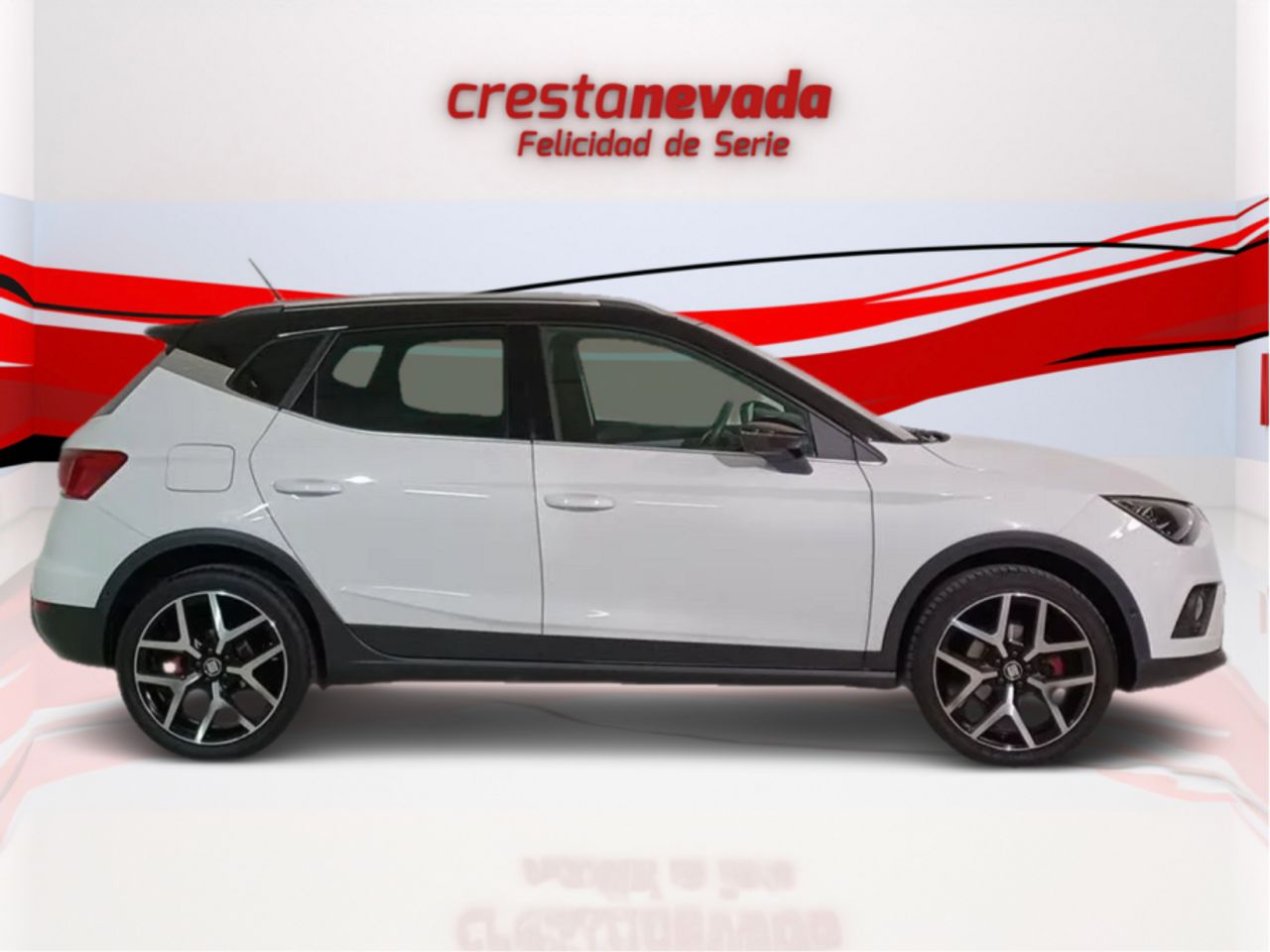 seat arona 2020 / foto grande (2)