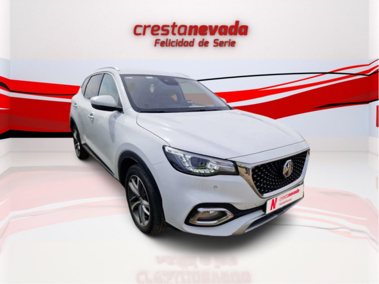 mg ehs 2022 / foto grande (2)
