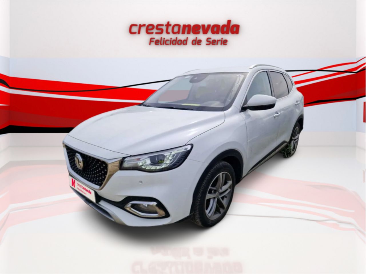 Foto mg ehs 2022 /