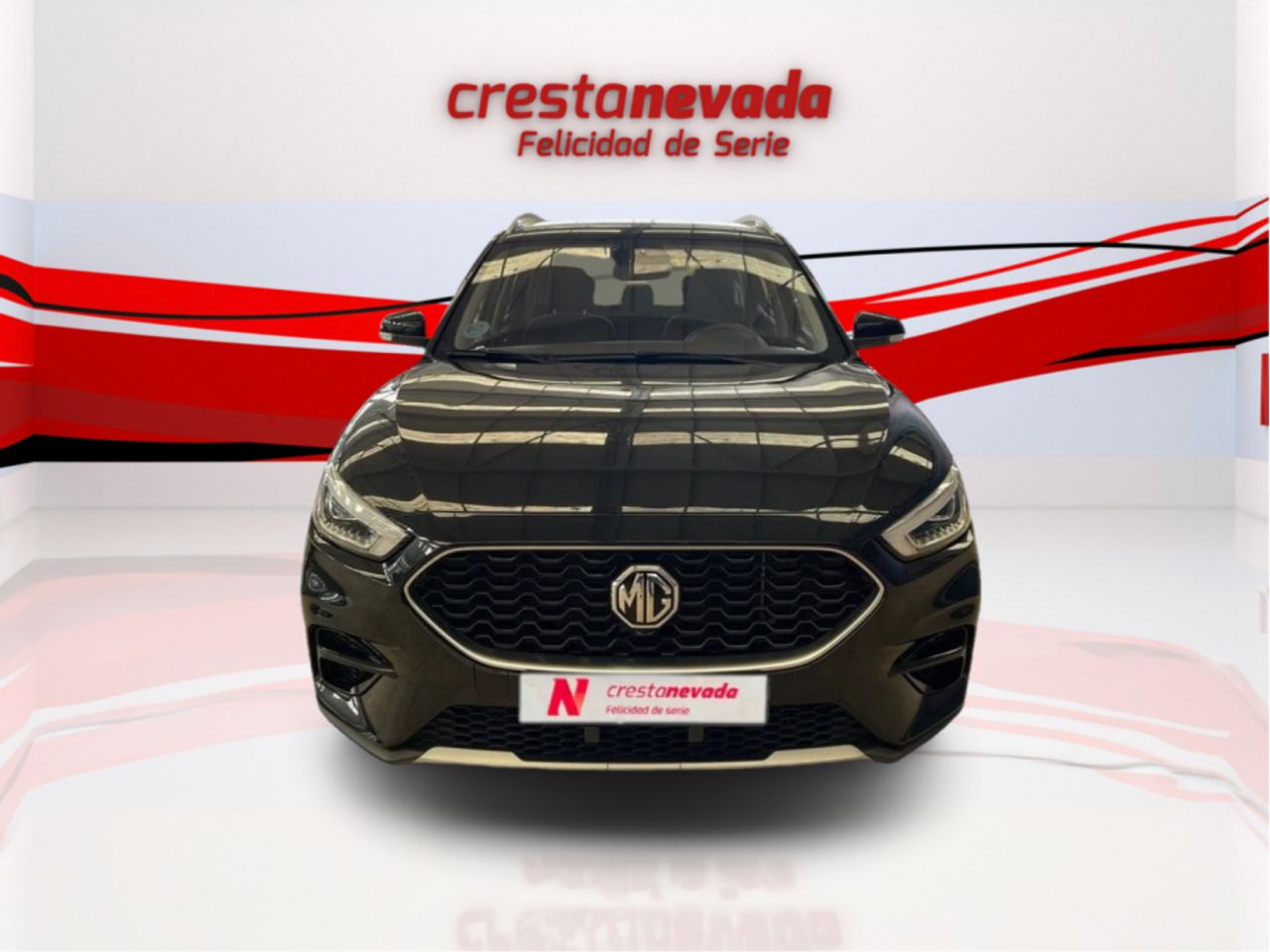 mg zs 2022 / foto grande (3)