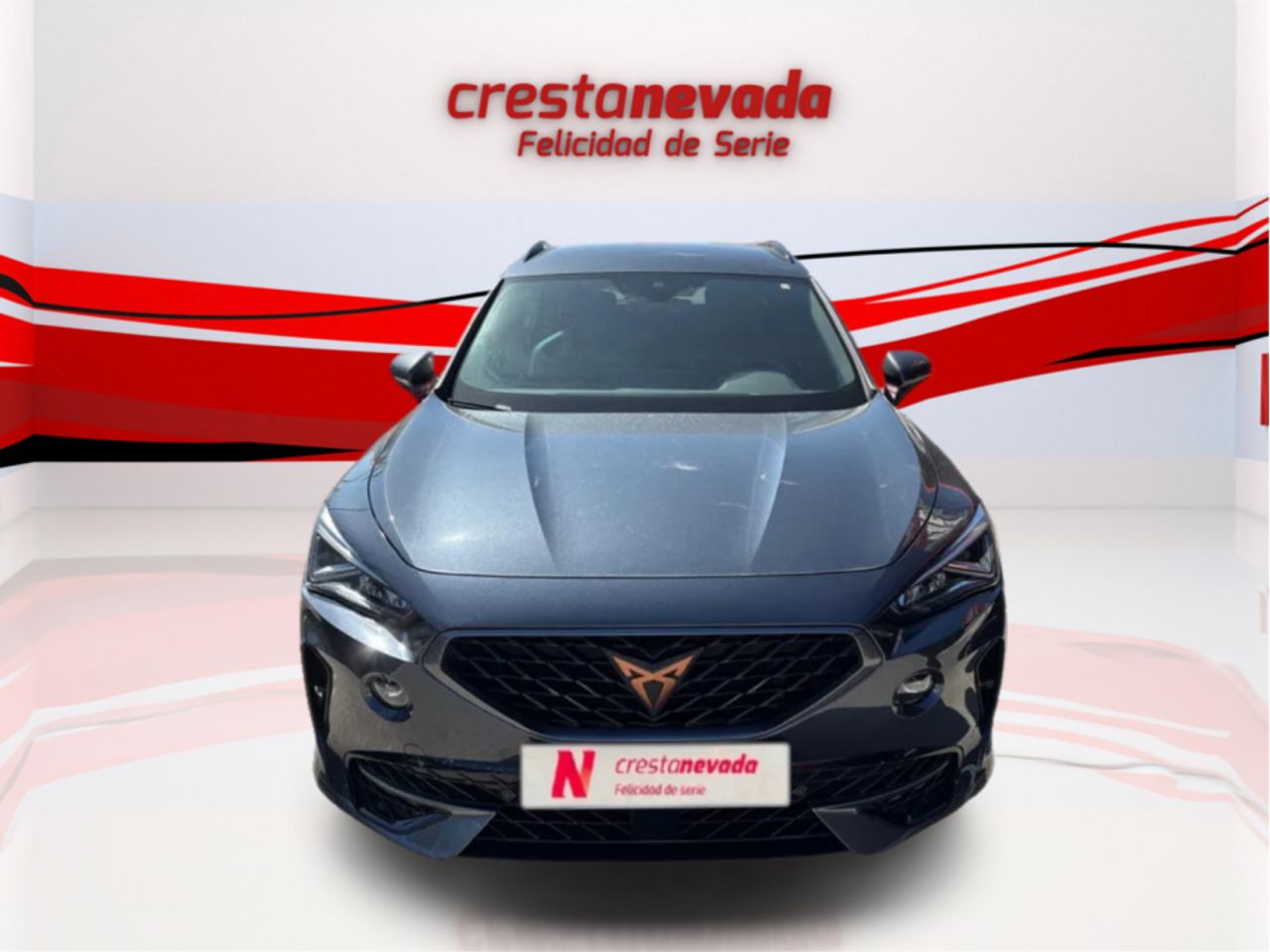 cupra formentor 2022 / foto grande (2)