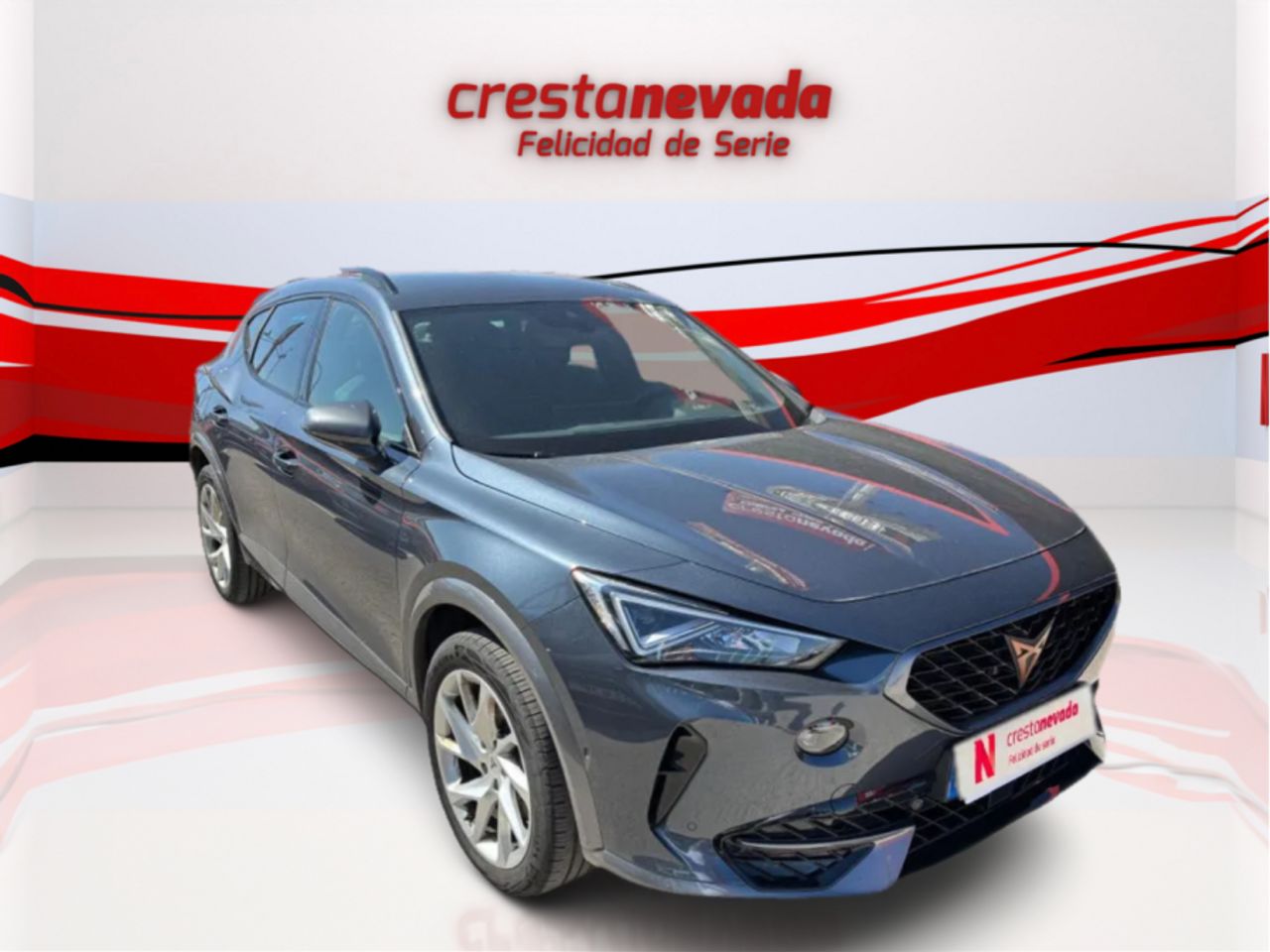 cupra formentor 2022 / foto grande (3)