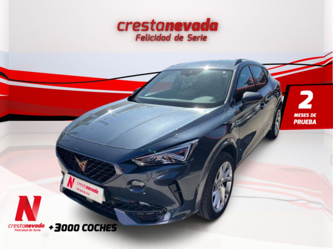 Foto cupra formentor 2022 /