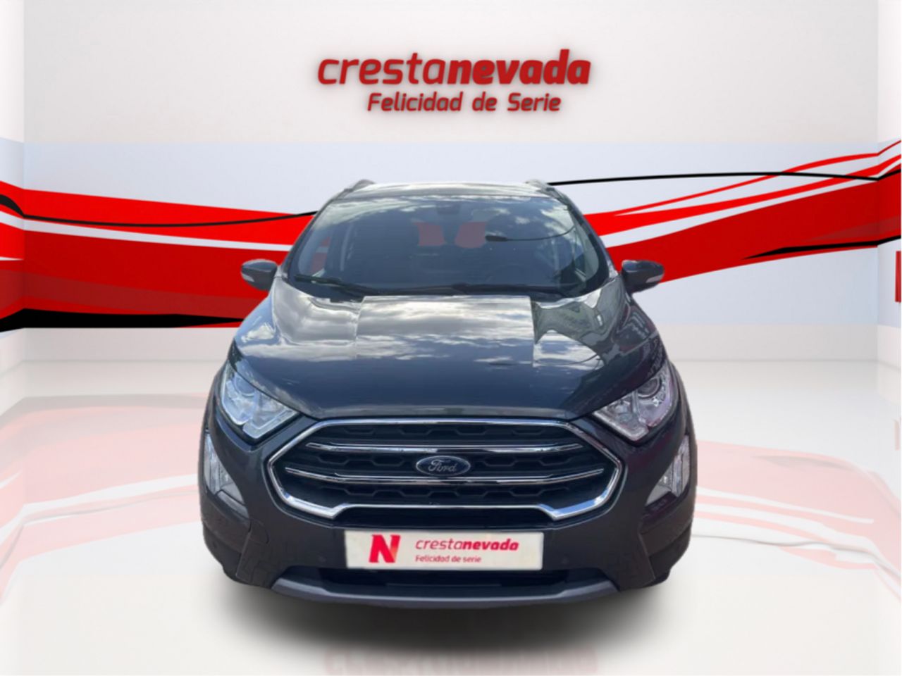 ford ecosport 2019 / foto grande (2)