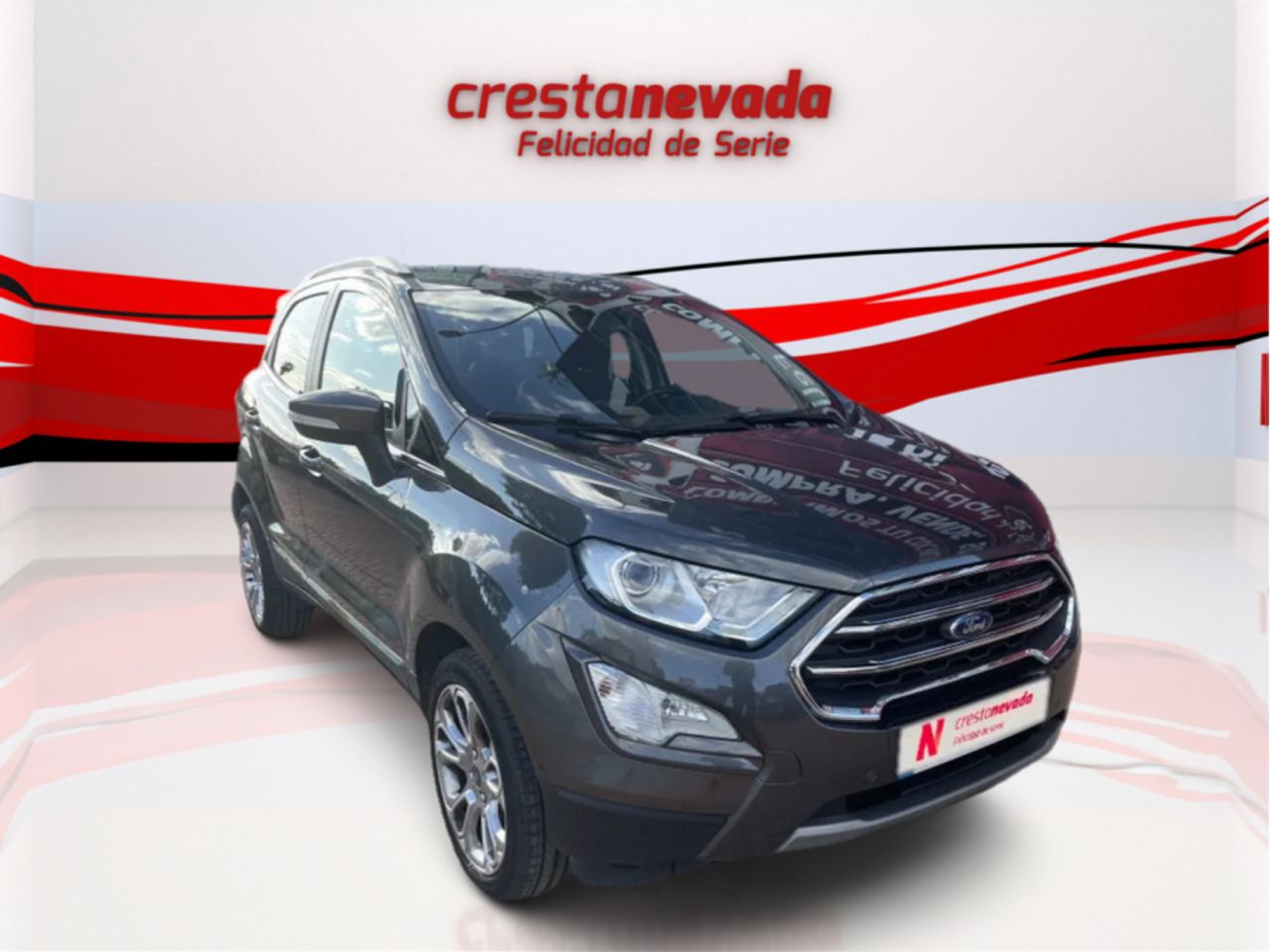 ford ecosport 2019 / foto grande (3)