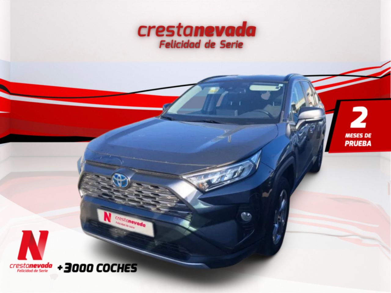 4x4 preparados  de segunda mano - toyota rav4 2021 /