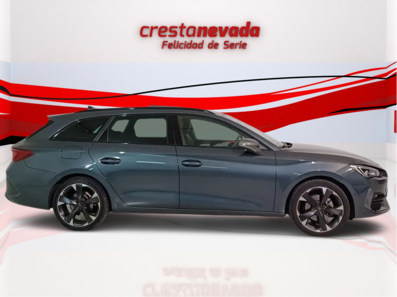 cupra león 2023 / foto grande (2)