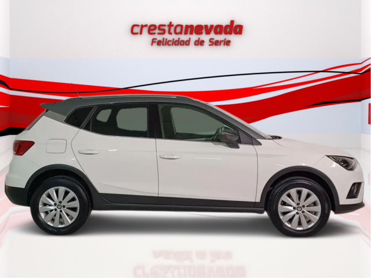 seat arona 2020 / foto grande (2)