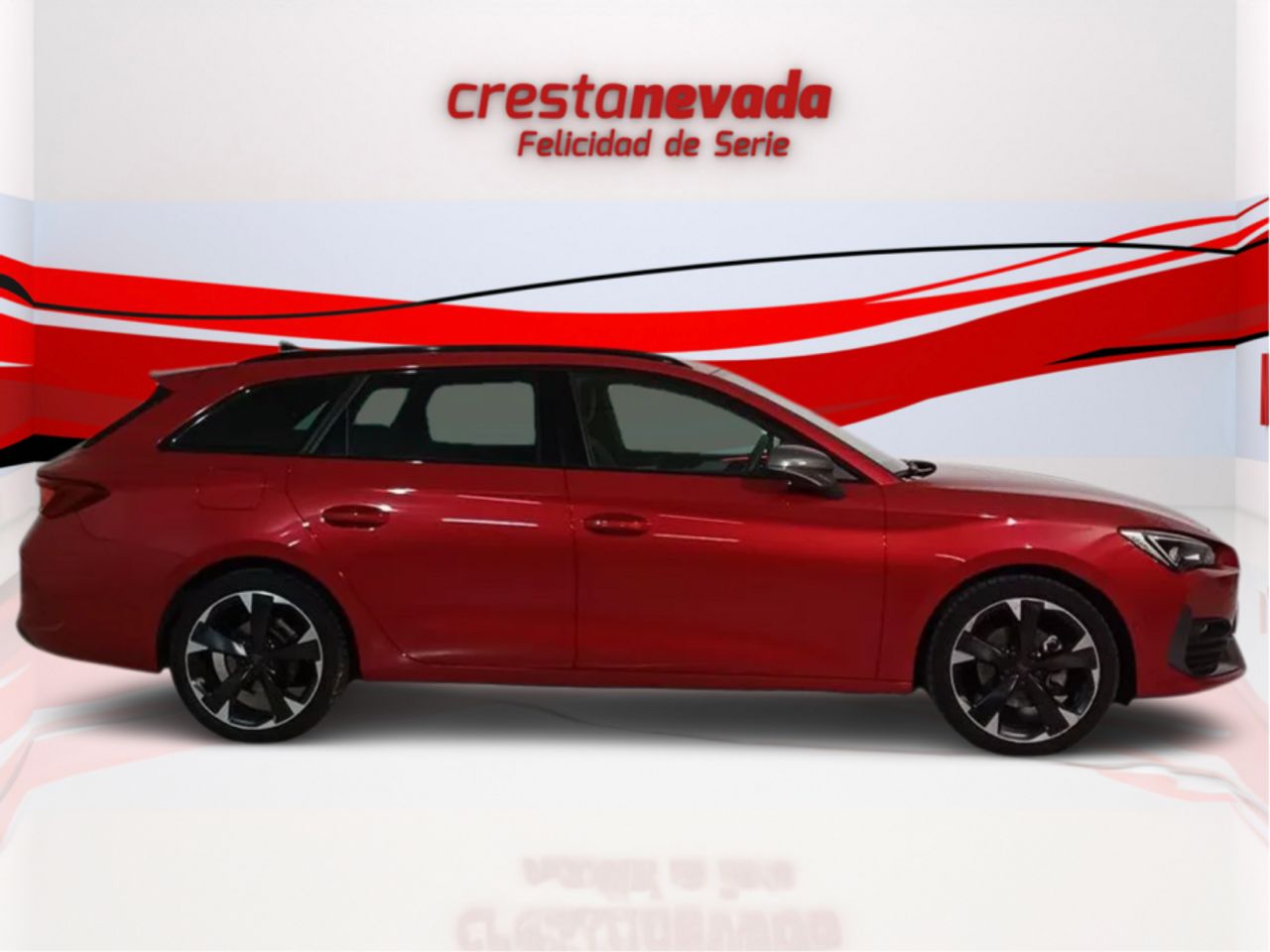 cupra león 2023 / foto grande (2)
