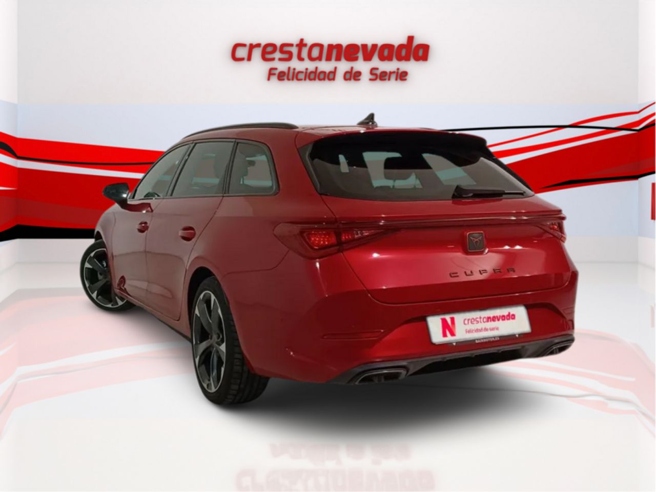 cupra león 2023 / foto grande (3)