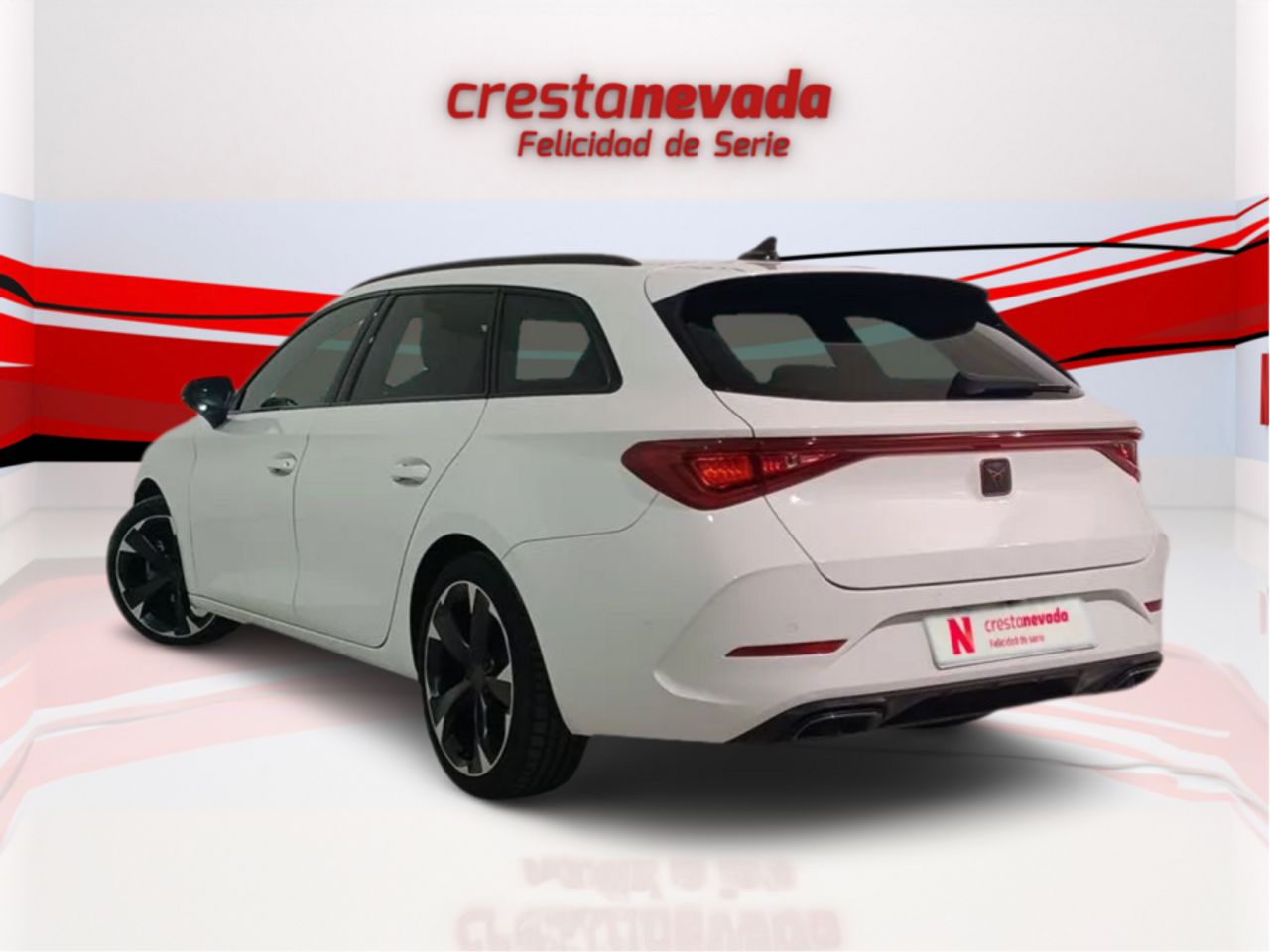 cupra león 2023 / foto grande (3)