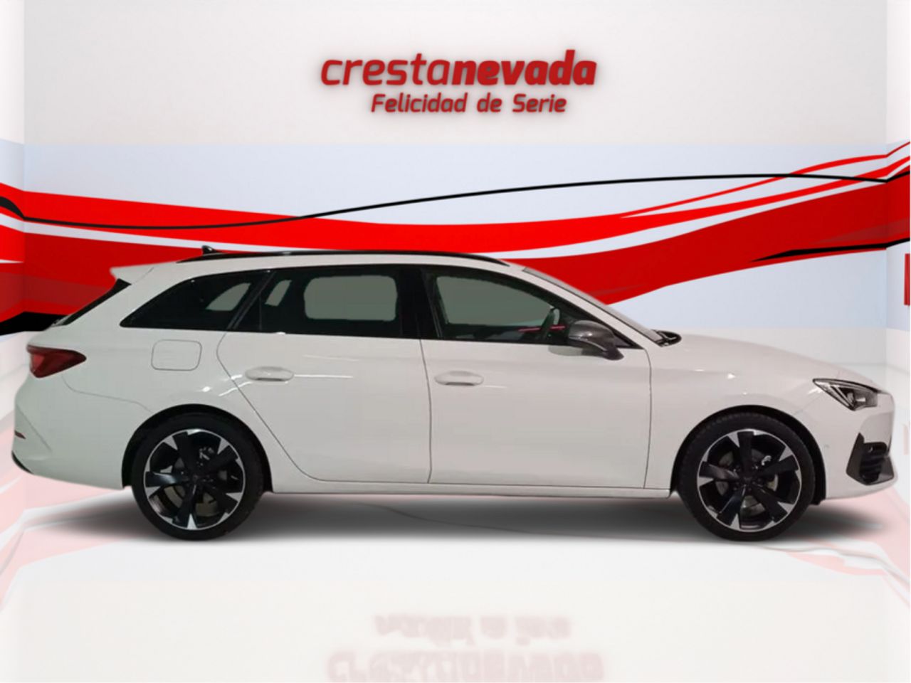 cupra león 2023 / foto grande (2)
