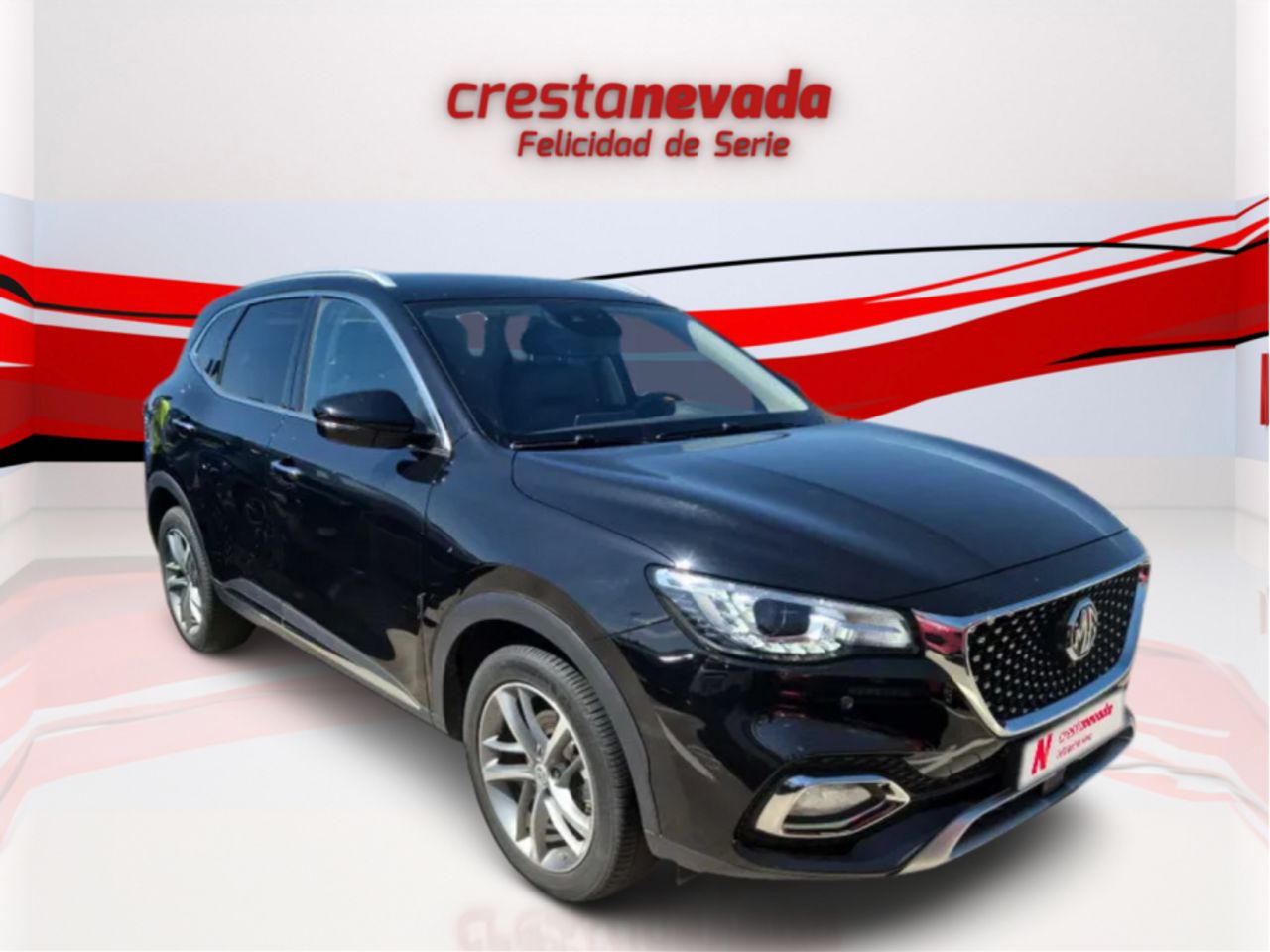 mg ehs 2022 / foto grande (2)