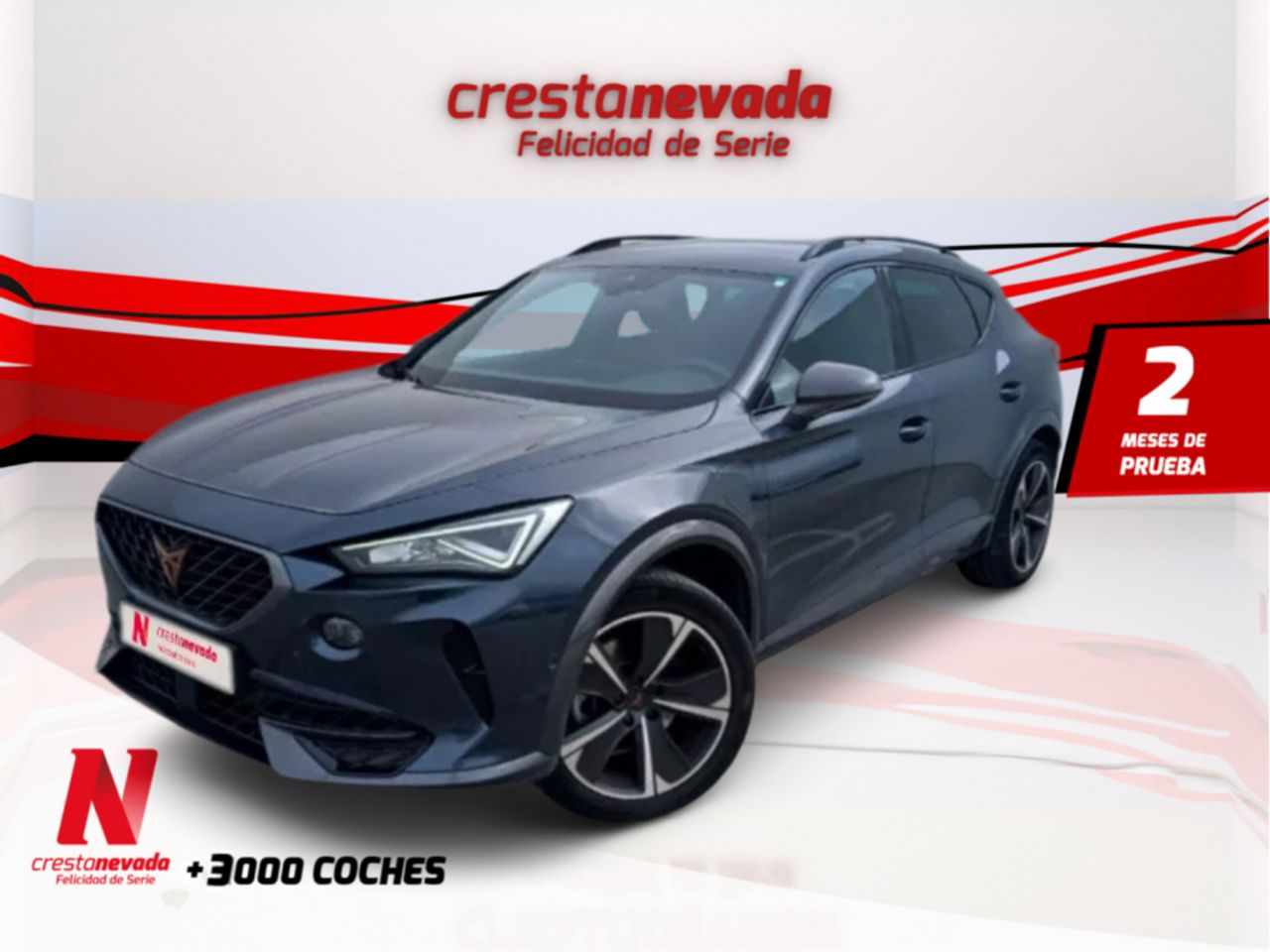 Cupra formentor 2023 dsg  de segunda mano - cupra formentor 2021 /
