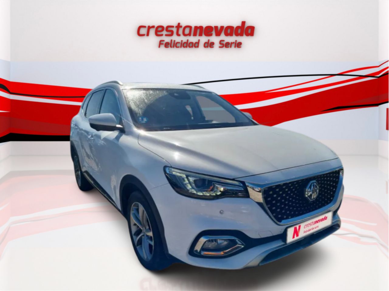 mg ehs 2022 / foto grande (2)