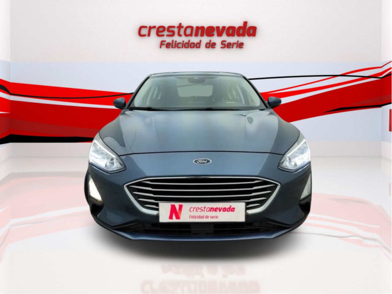 ford focus 2019 / foto grande (3)