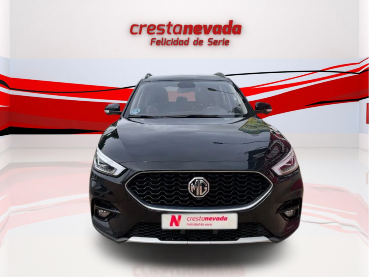 mg zs 2022 / foto grande (2)