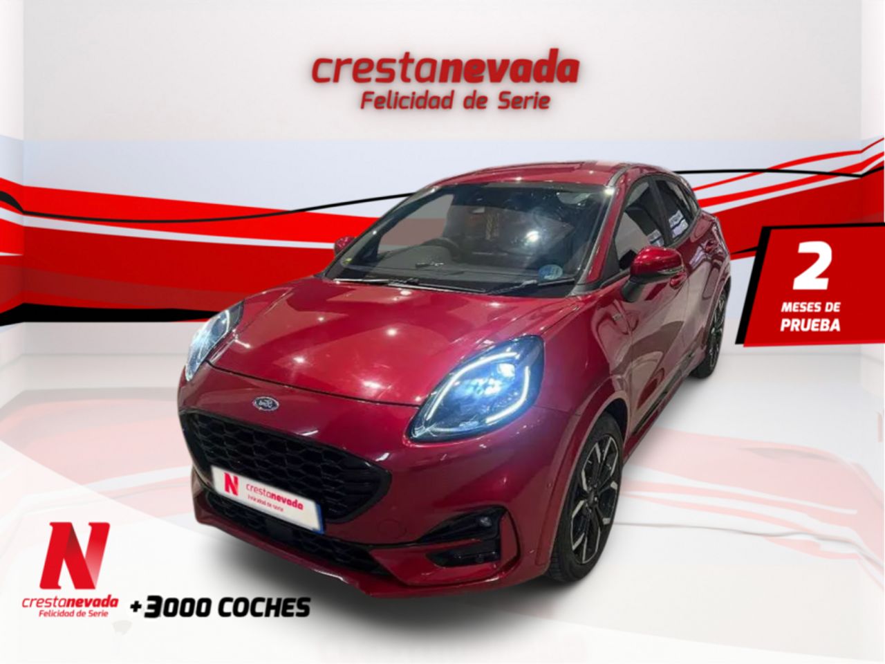 Ford fiesta 10 ecoboost 155cv  de segunda mano - ford puma 2022 /