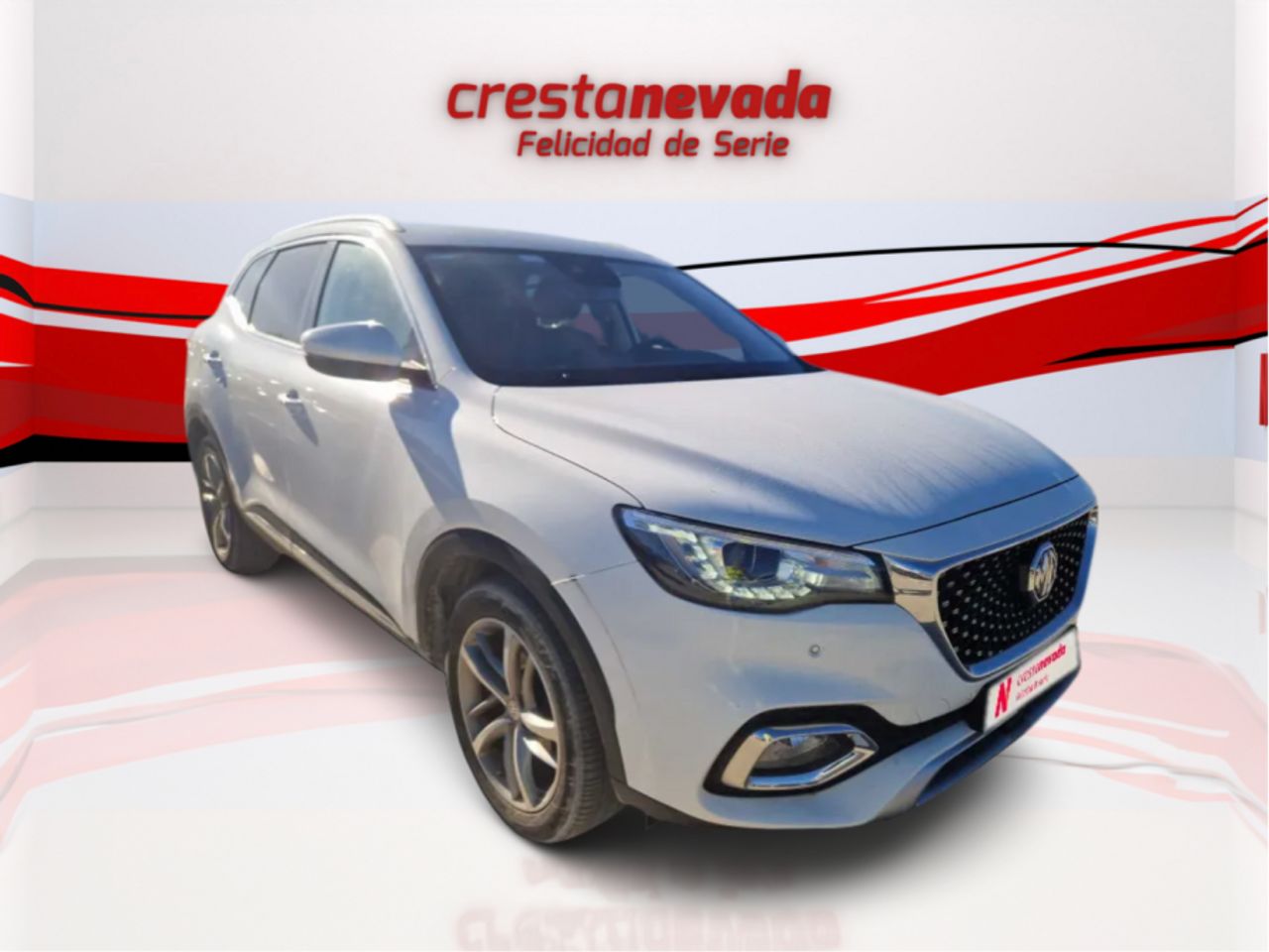 mg ehs 2022 / foto grande (2)